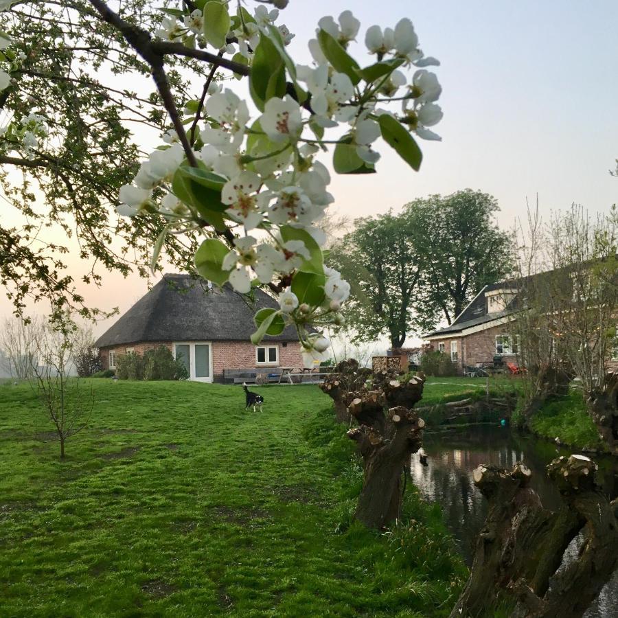 Groeten Uit Hoogmade - Rural Cottage エクステリア 写真